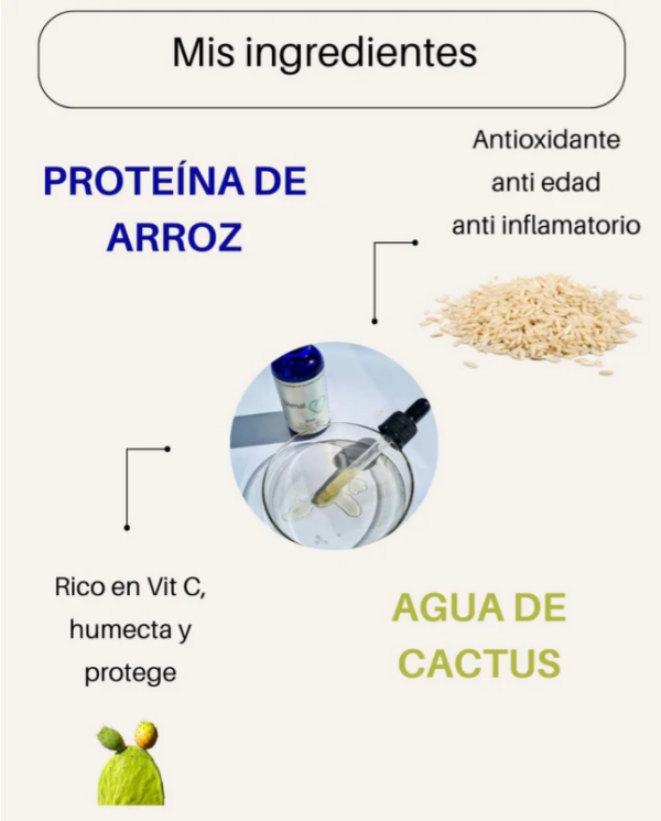 Serum Uxmal con proteína de arroz. Piel seca y madura - Image 3