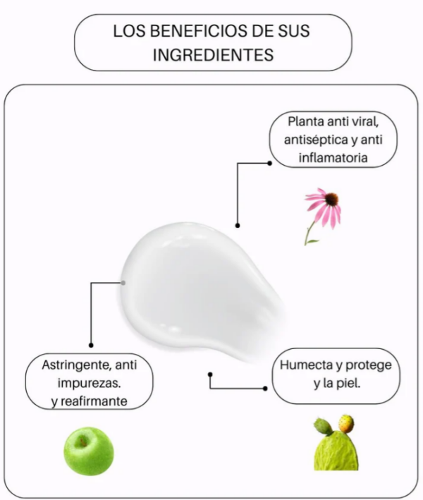 Emulsión Manzana. Piel mixta-Grasa y/o con acné - Image 2