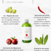 Shampoo anti caspa con romero, nopal y chile - Image 2